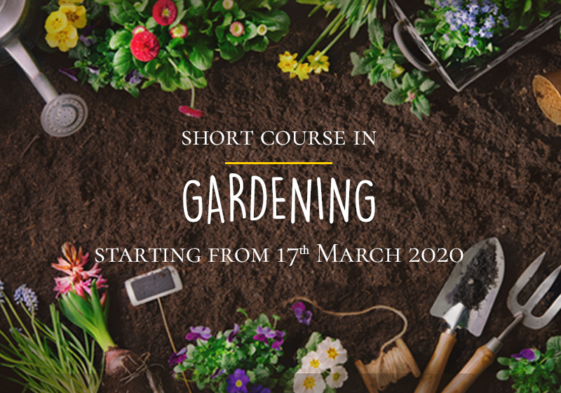 gardening classes-activities page